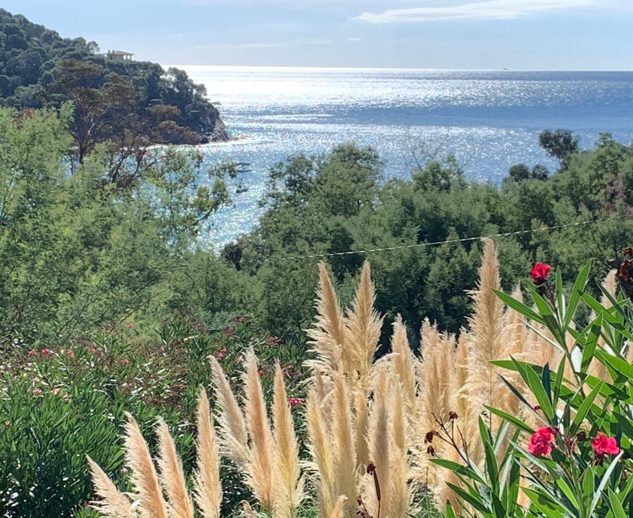 Vue mer